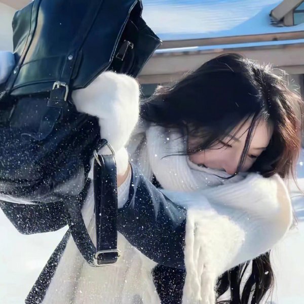 新里见八犬传 海报